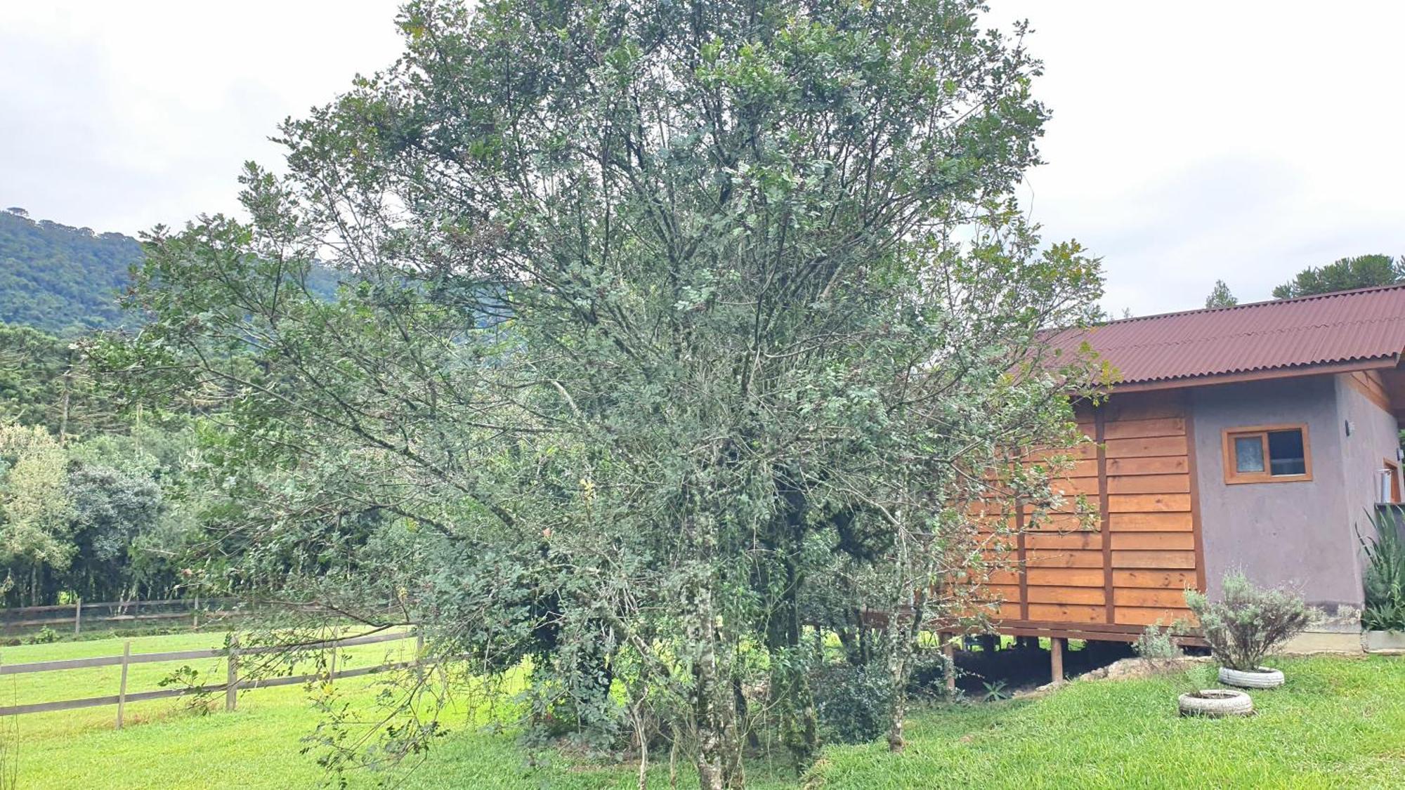 Pousada Vale Da Imbuia Chale Para Temporada Urubici Dış mekan fotoğraf